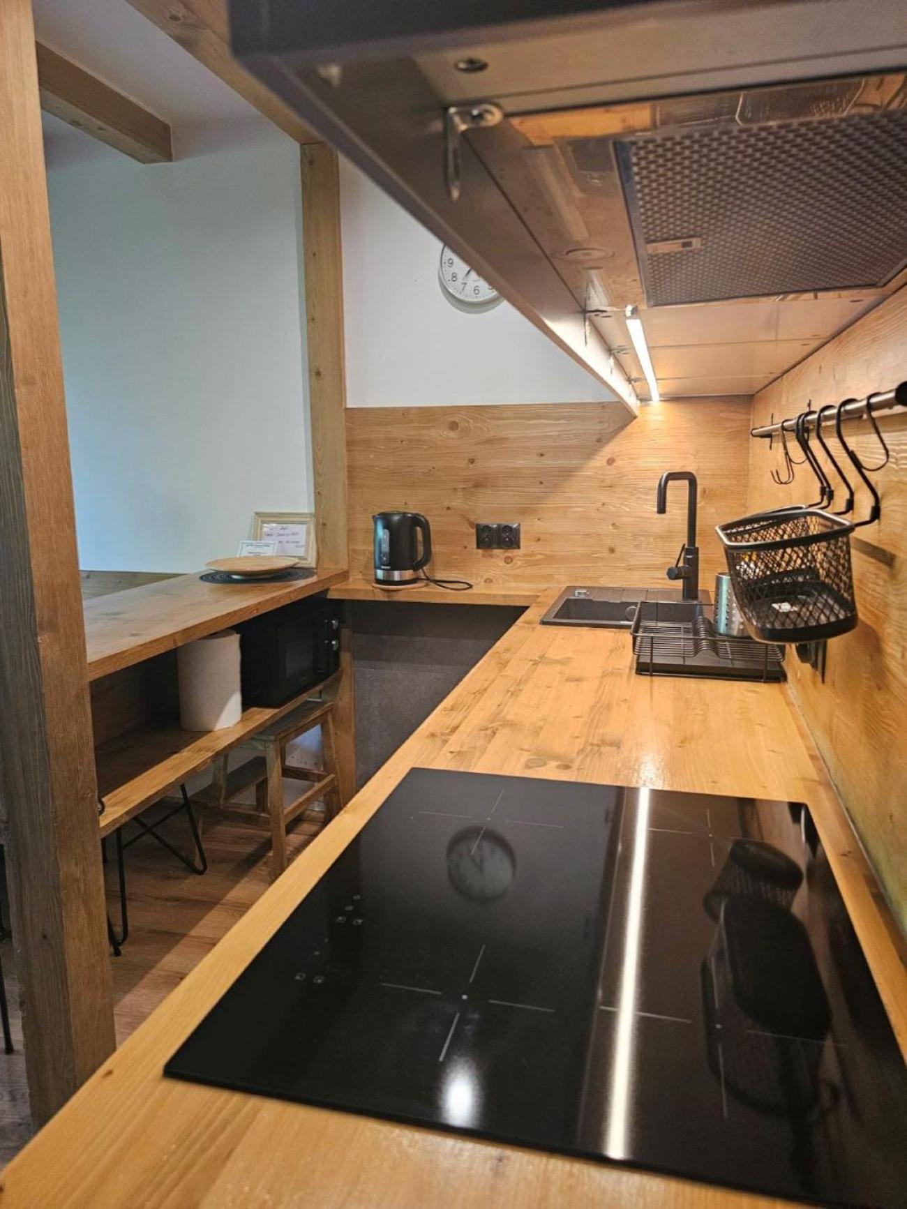 Studio Mila I Nido W Centrum Apartzakop Zakopane Buitenkant foto